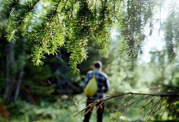 За первую неделю осени в лесах Подмосковья заблудились 37 человек